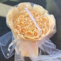 ͼʻٵ